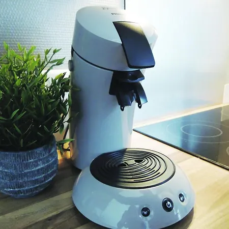 Appart'azur - Hyper Centre Mairie - Parking Facile - Wifi - Lit Confort Kingsize Lägenhet Haguenau